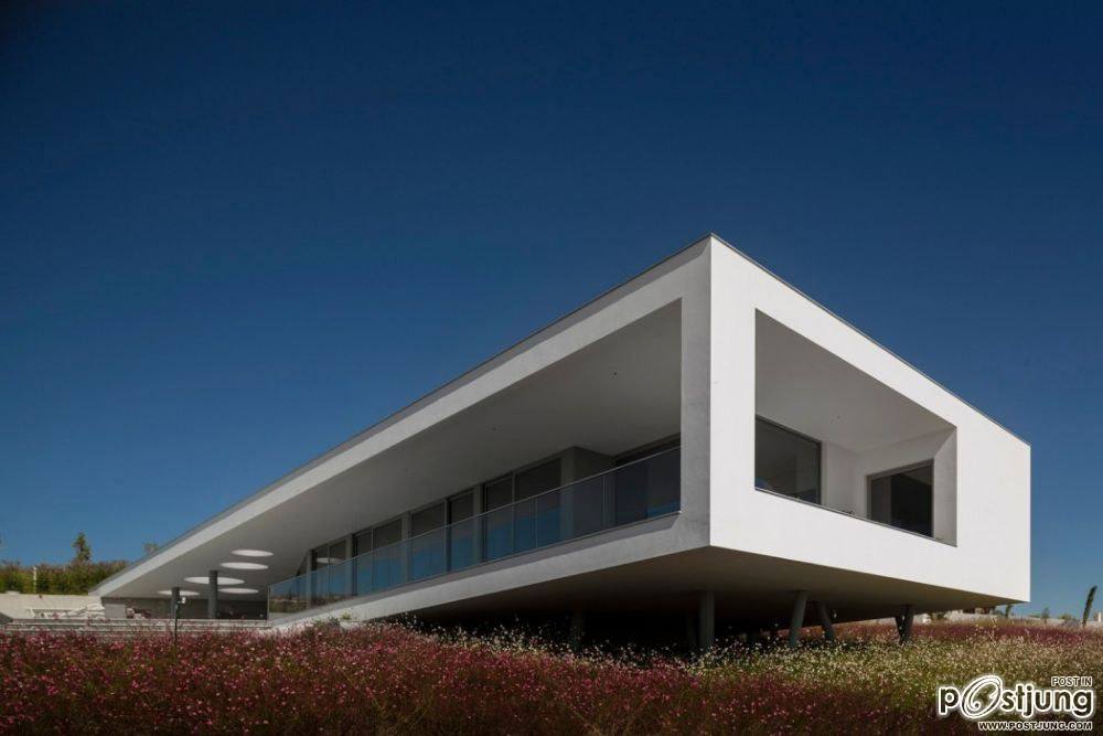 Casa Zauia by Mario Martins Atelier