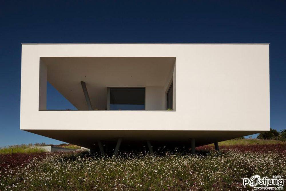 Casa Zauia by Mario Martins Atelier