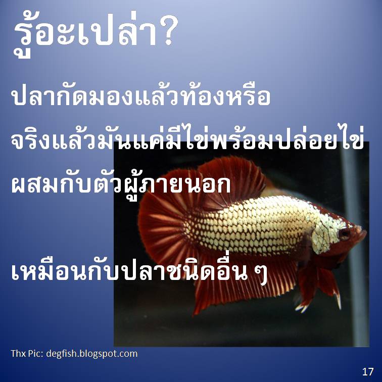 รู้อะเปล่า? V2