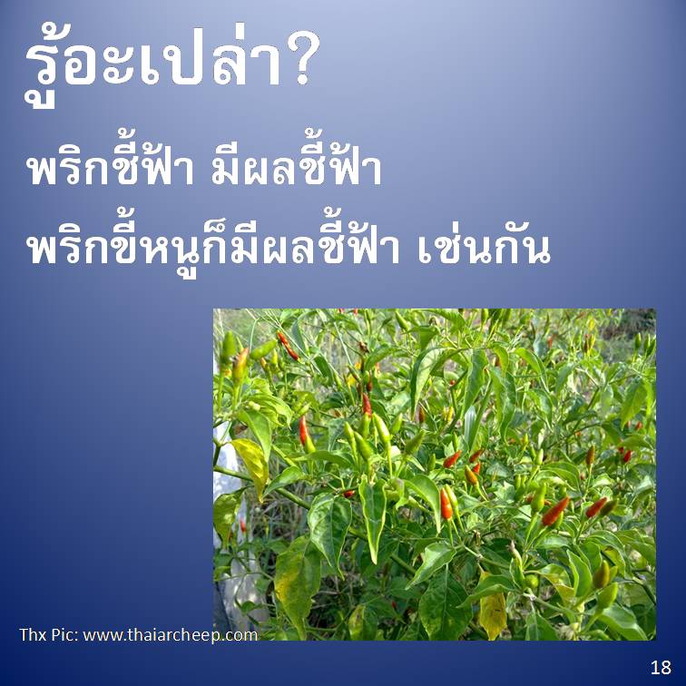 รู้อะเปล่า? V2