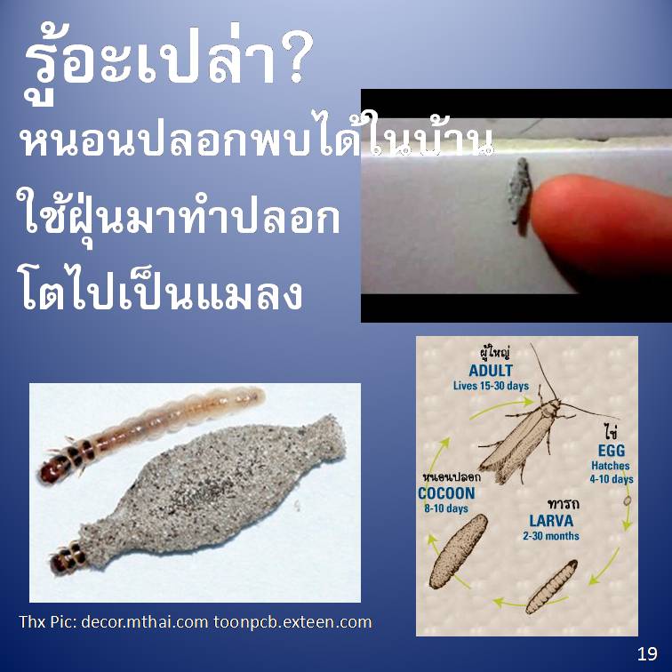 รู้อะเปล่า? V2