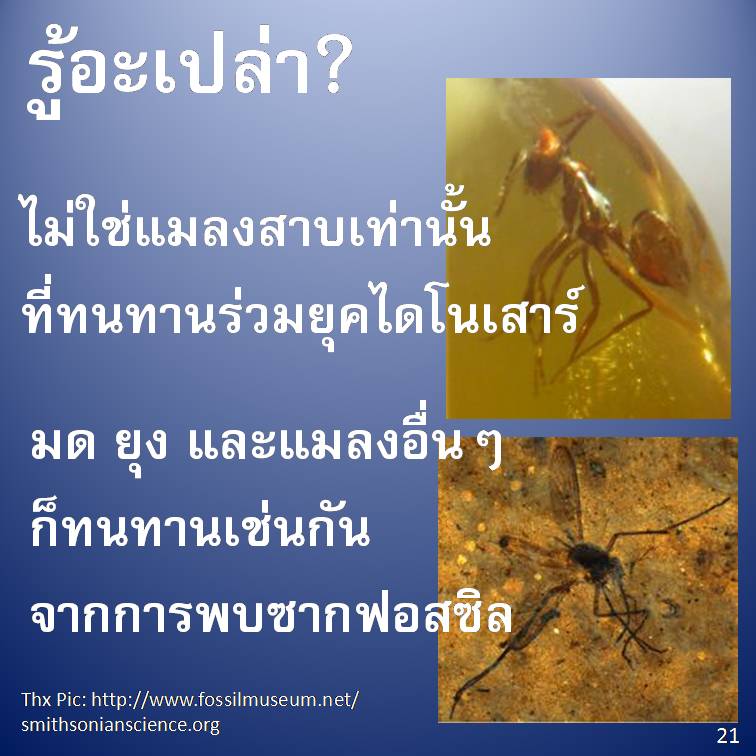 รู้อะเปล่า? V2