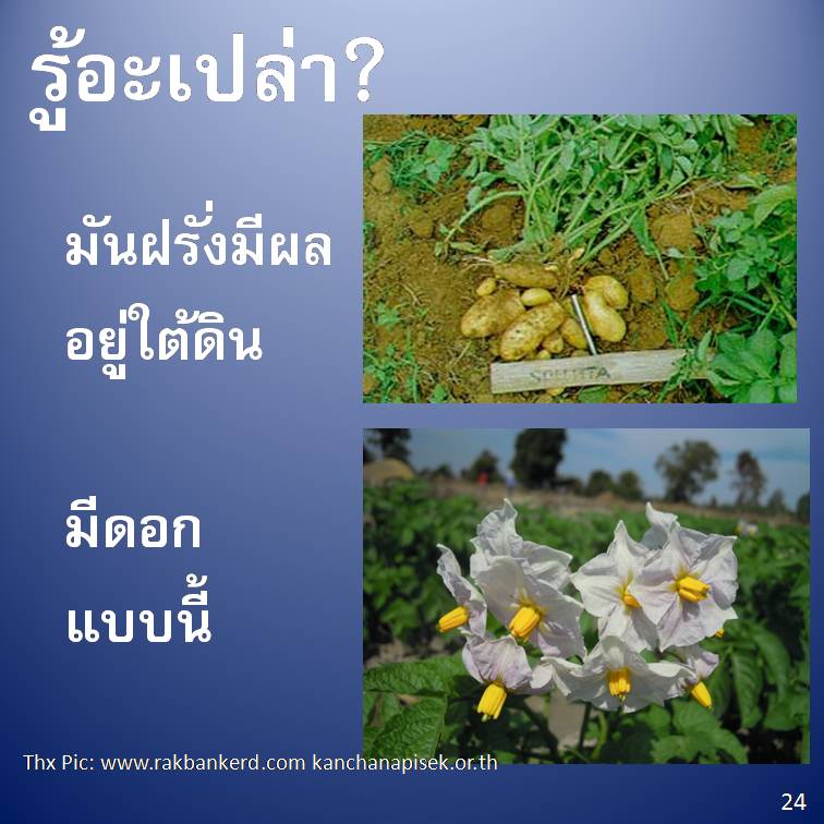 รู้อะเปล่า? V2