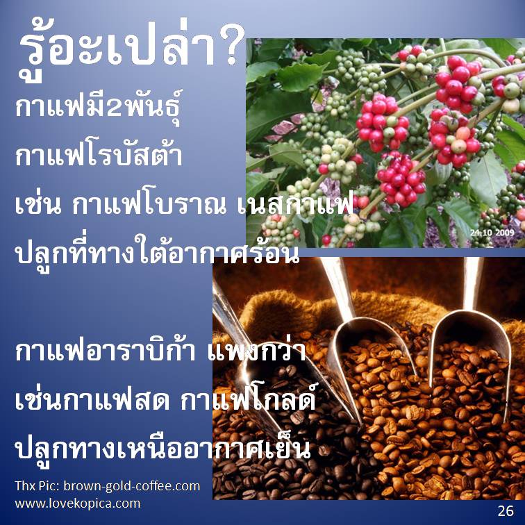 รู้อะเปล่า? V2