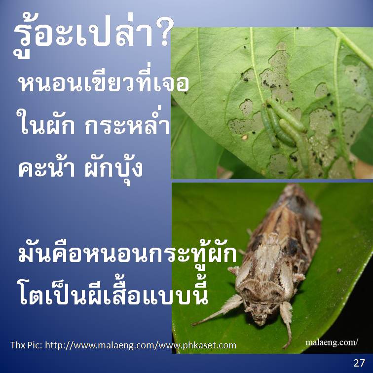 รู้อะเปล่า? V2
