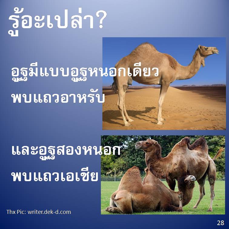 รู้อะเปล่า? V3