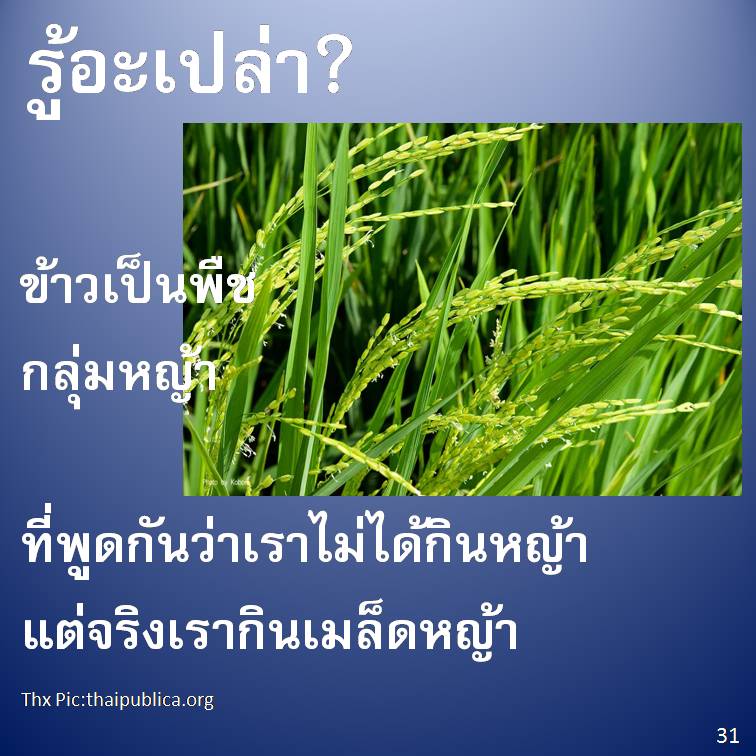 รู้อะเปล่า? V3