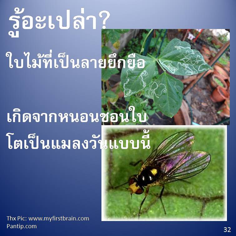 รู้อะเปล่า? V3