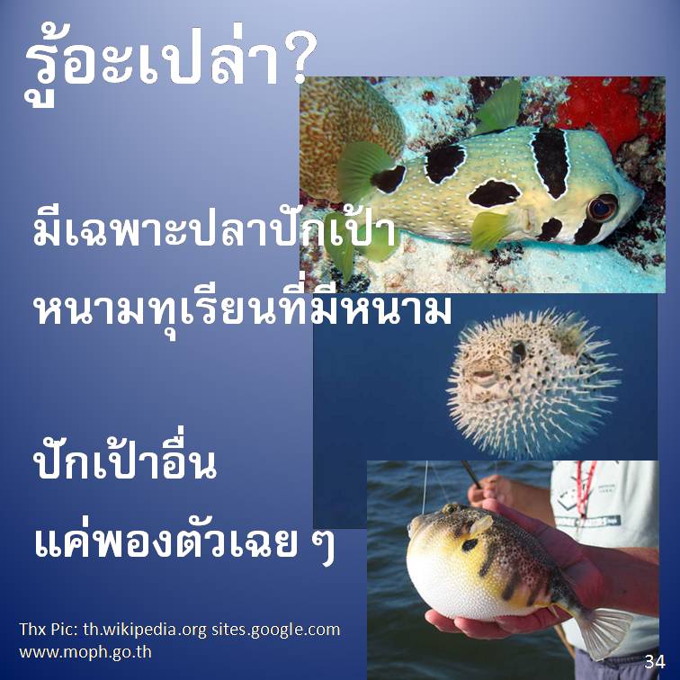 รู้อะเปล่า? V3