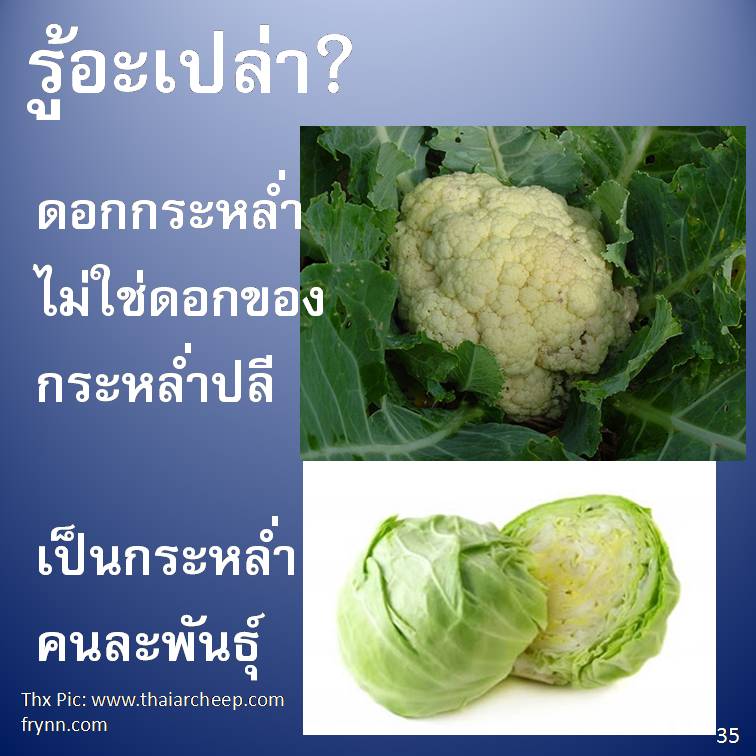 รู้อะเปล่า? V3