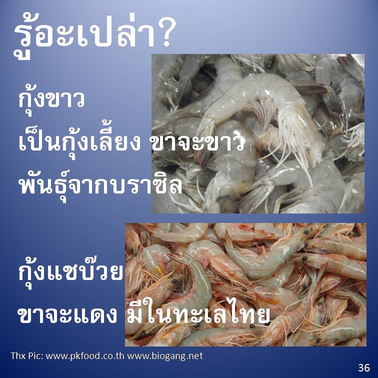 รู้อะเปล่า? V3