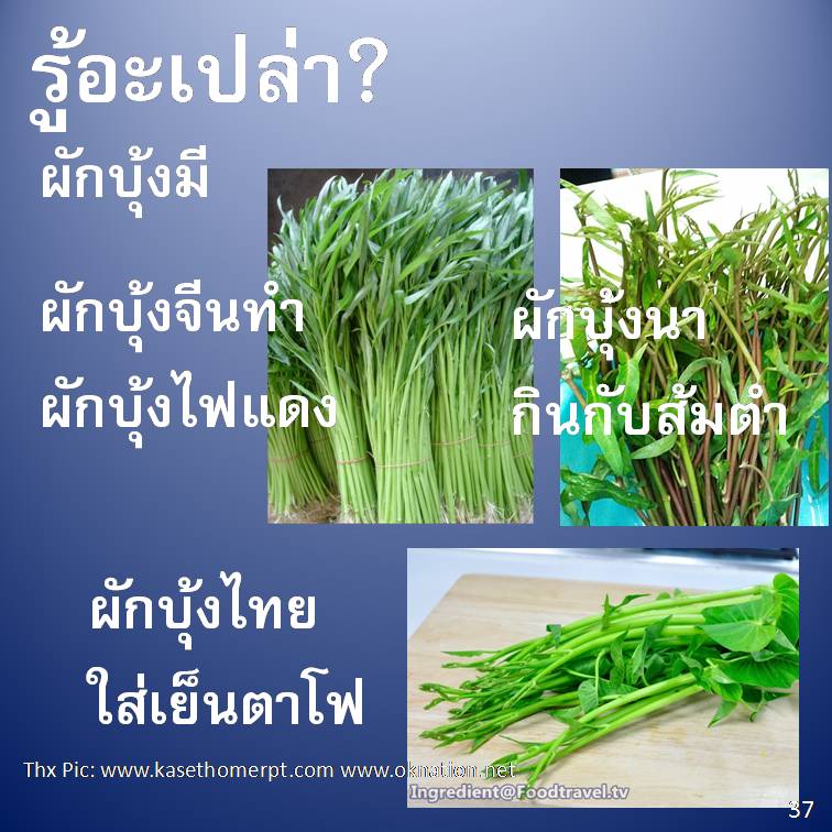 รู้อะเปล่า? V3