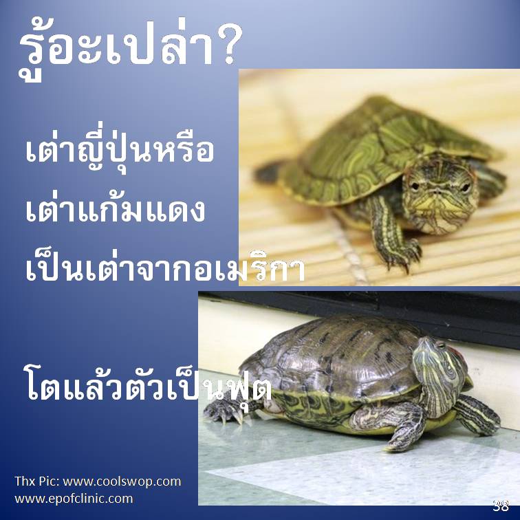 รู้อะเปล่า? V3