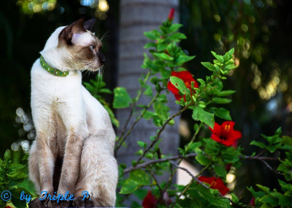 รูปสวยๆ