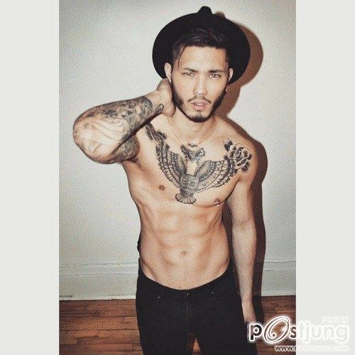 Stevo Trann