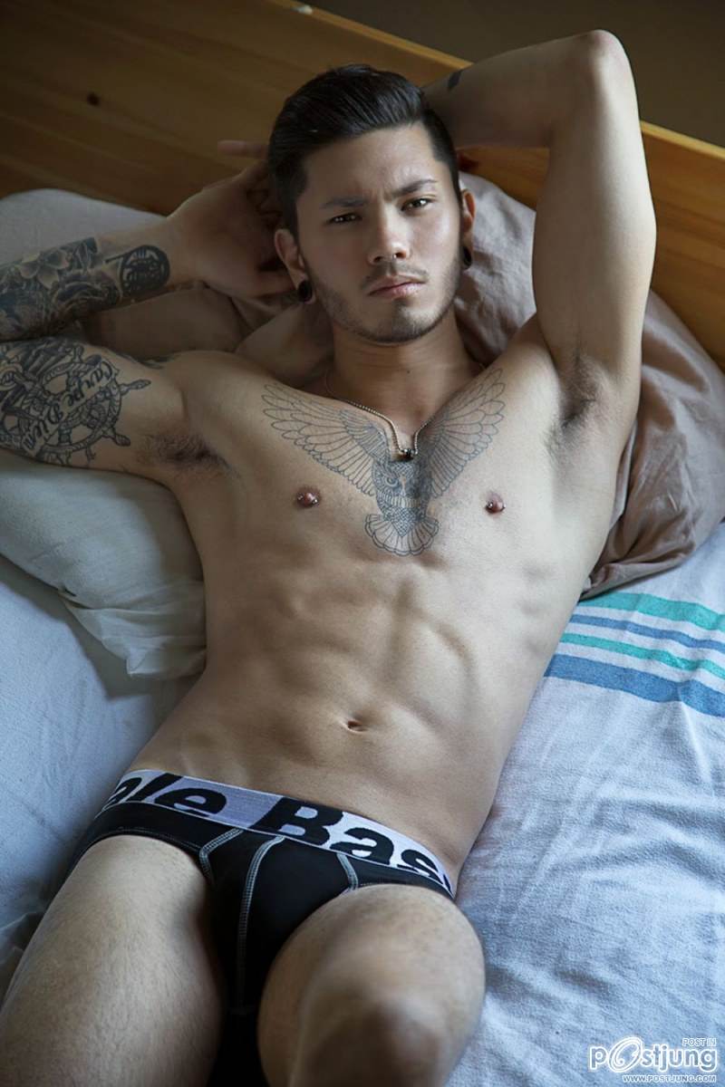 Stevo Trann