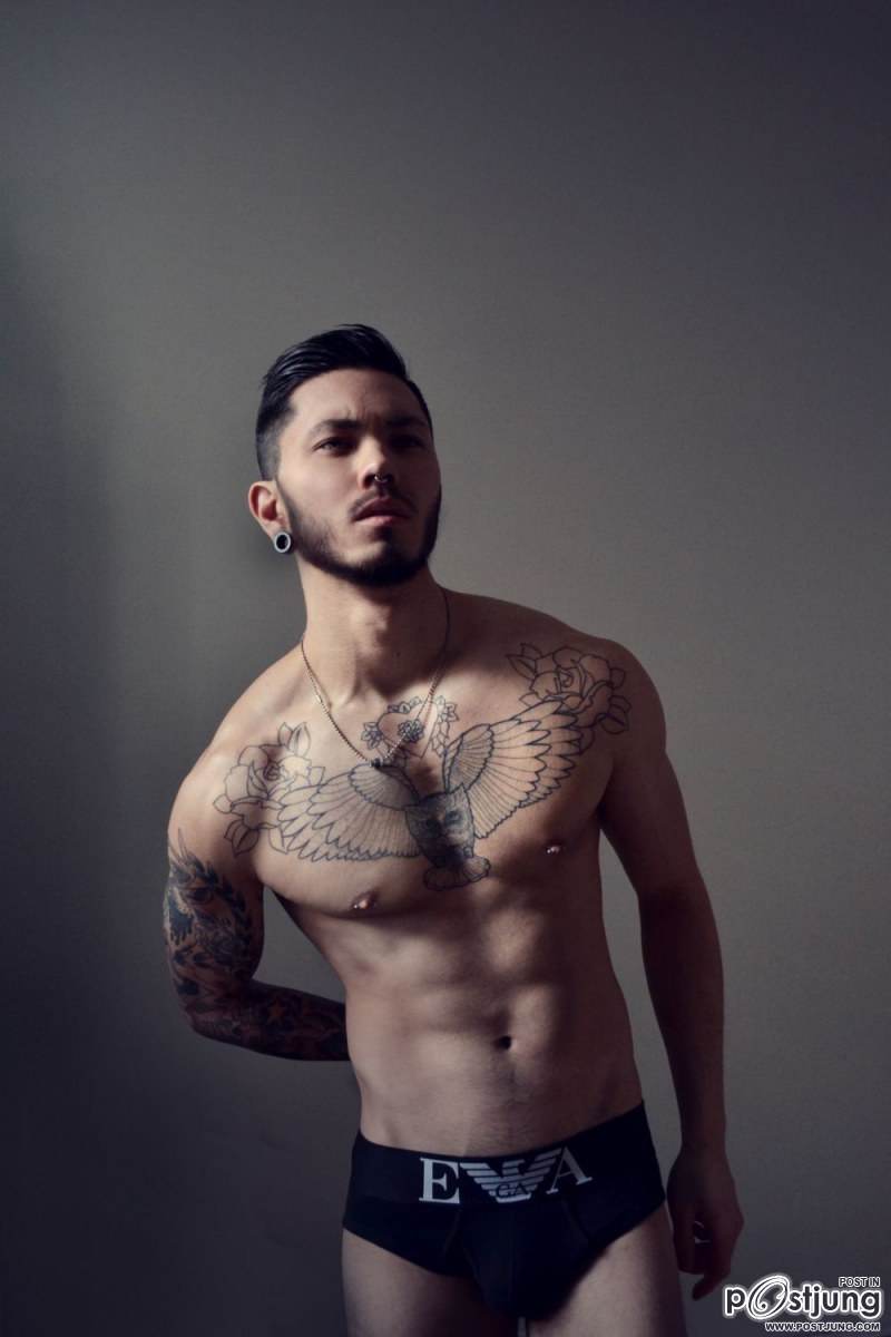 Stevo Trann