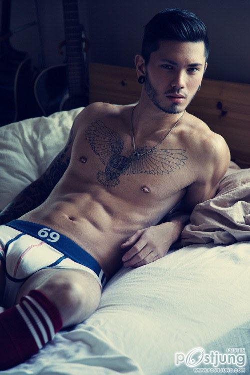 Stevo Trann
