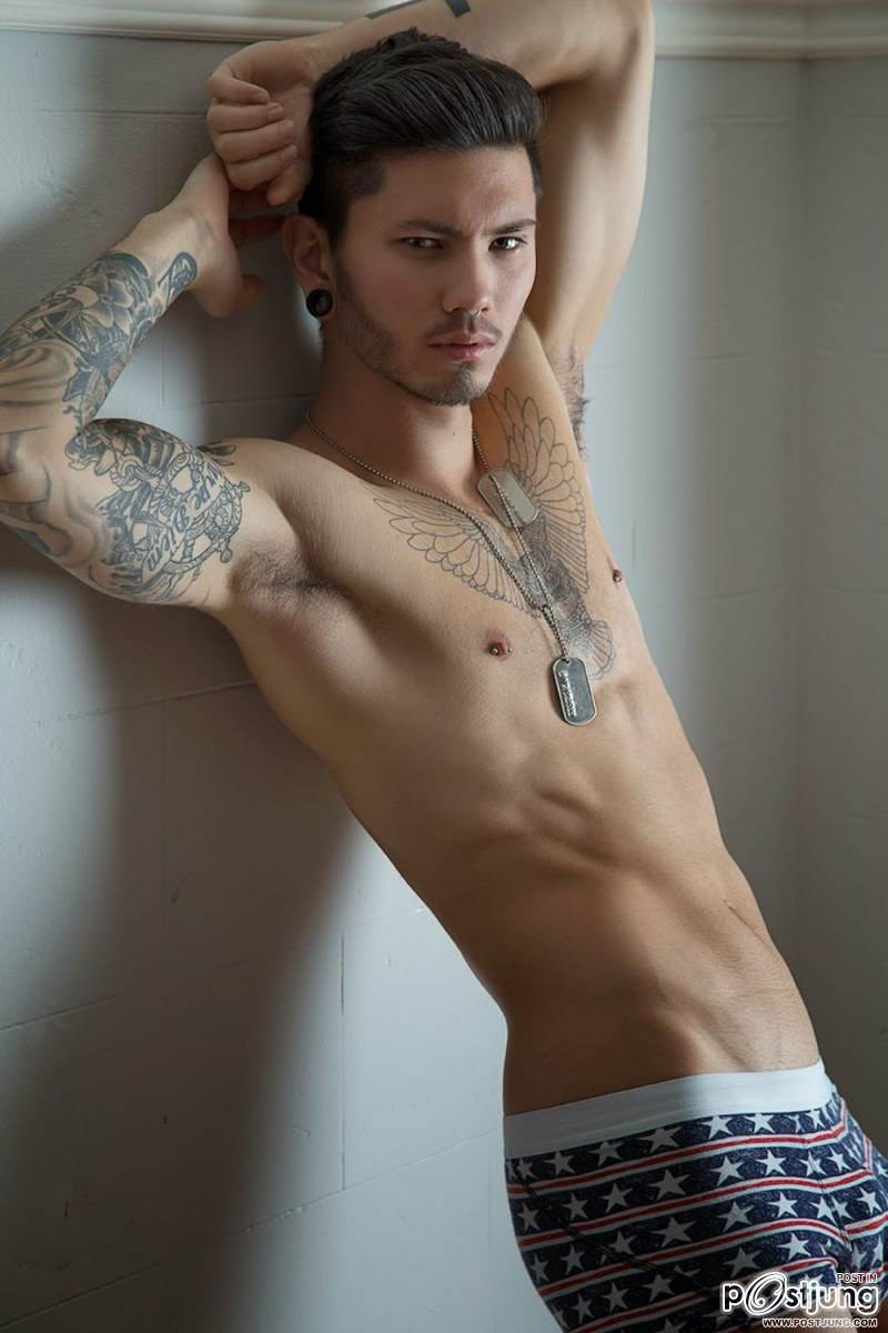 Stevo Trann