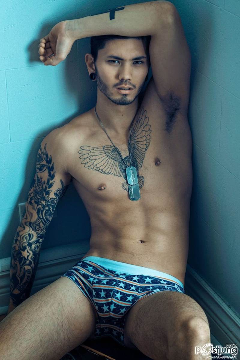 Stevo Trann