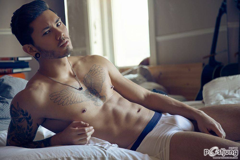 Stevo Trann