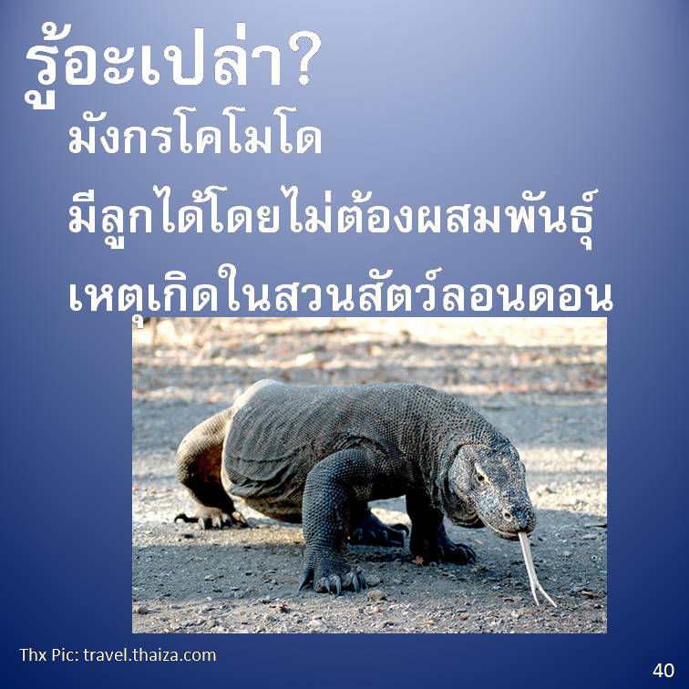 รู้อะเปล่า? ภาค 4