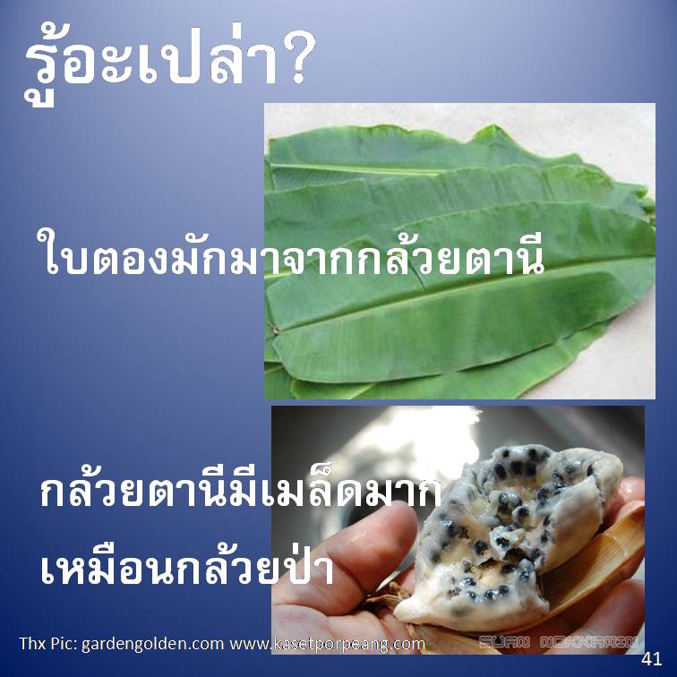 รู้อะเปล่า? ภาค 4