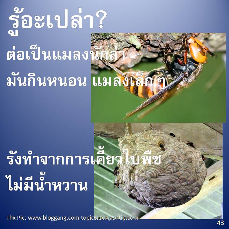 รู้อะเปล่า? ภาค 4