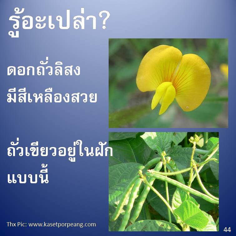 รู้อะเปล่า? ภาค 4