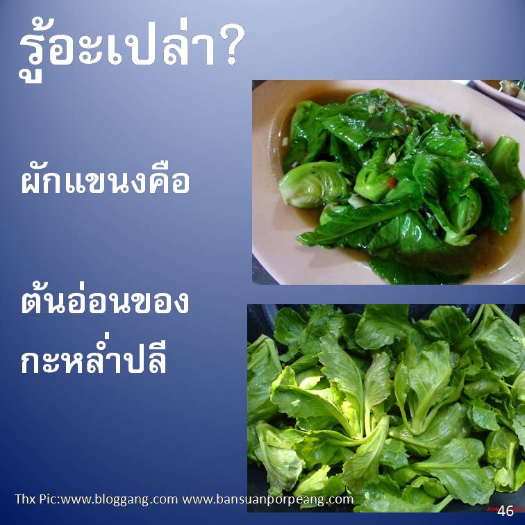 รู้อะเปล่า? ภาค 4