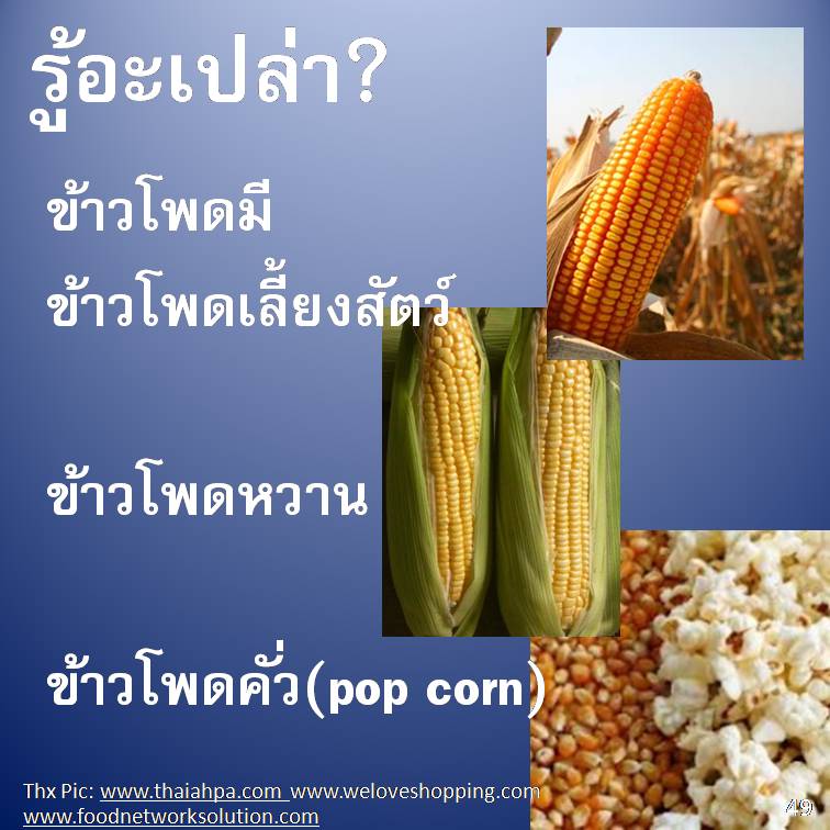 รู้อะเปล่า? ภาค 4