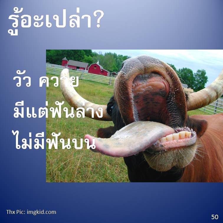 รู้อะเปล่า? ภาค 4