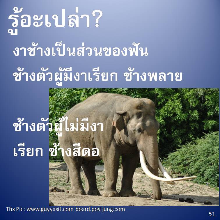รู้อะเปล่า? ภาค 4