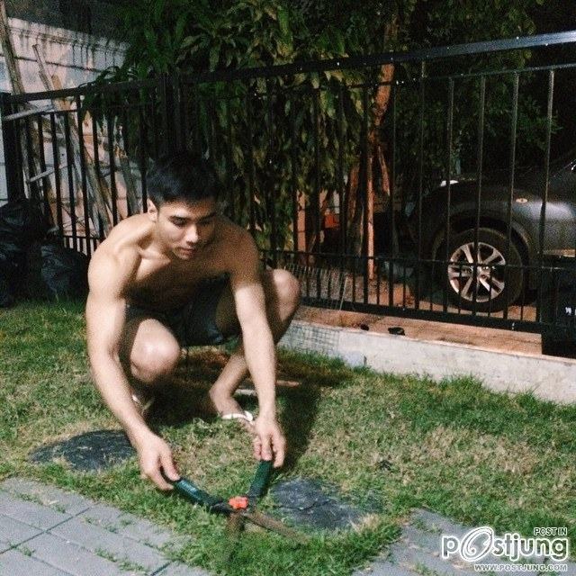 @dust_ntk