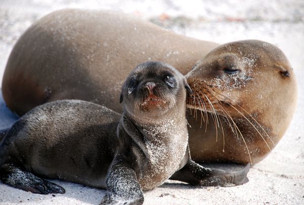 ♫♠♪ Warms ♪♠♫