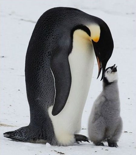 ♫♠♪ Warms ♪♠♫