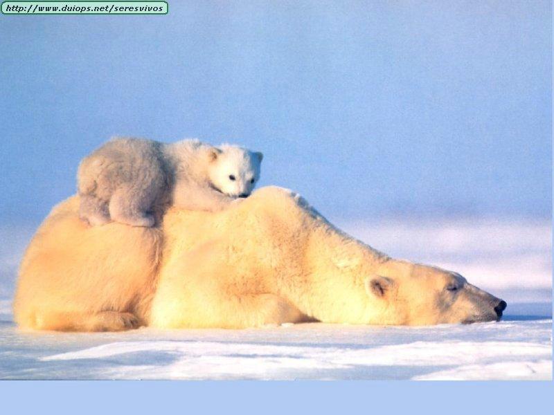 ♫♠♪ Warms ♪♠♫