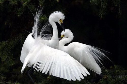 ♫♠♪ Warms ♪♠♫
