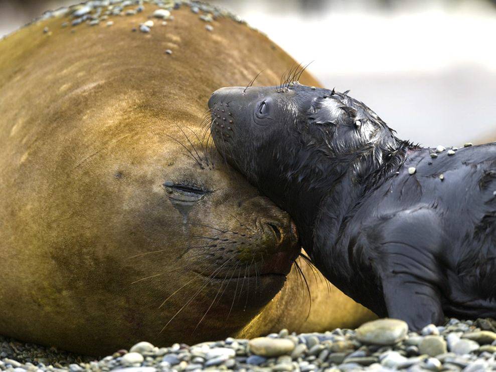 ♫♠♪ Warms ♪♠♫