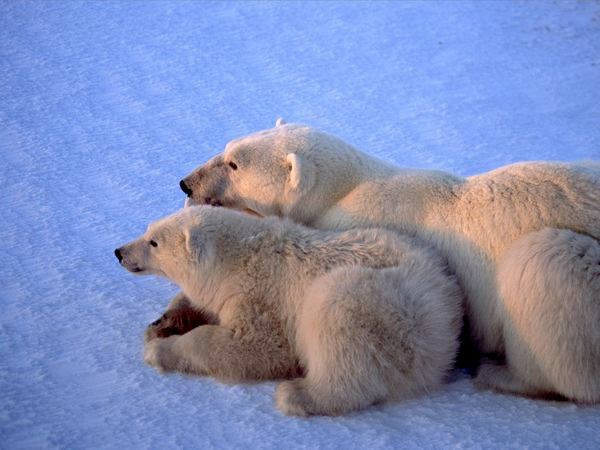 ♫♠♪ Warms ♪♠♫