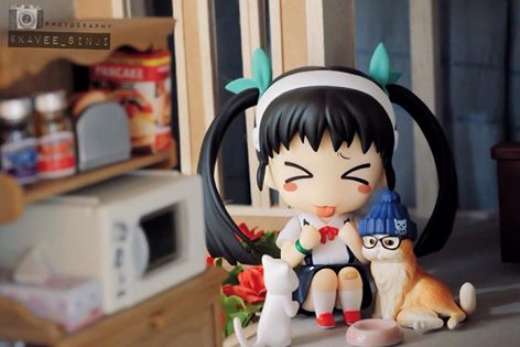 กองทัพ Nendoroid มาถล่ม Postjung!!!!