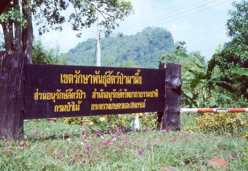 สุดยอด ปอดอีสาน จังหวัด ชัยภูมิ
