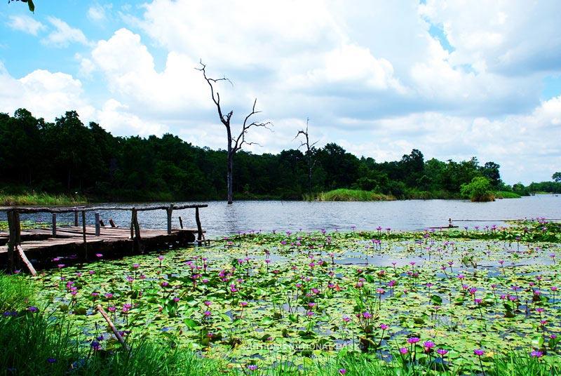 สุดยอด ปอดอีสาน จังหวัด ชัยภูมิ