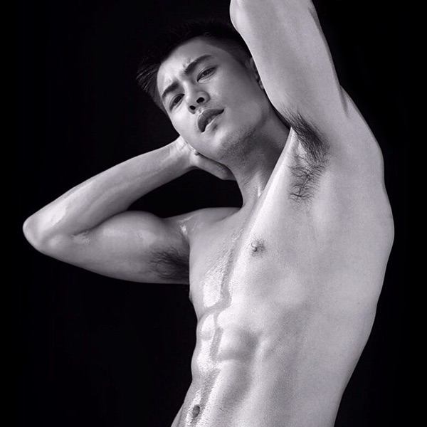 AMAT The Anatomy