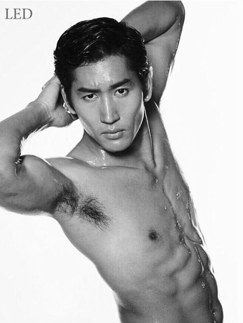 AMAT The Anatomy