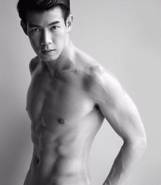 AMAT The Anatomy
