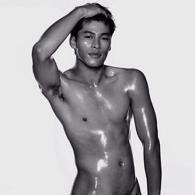AMAT The Anatomy
