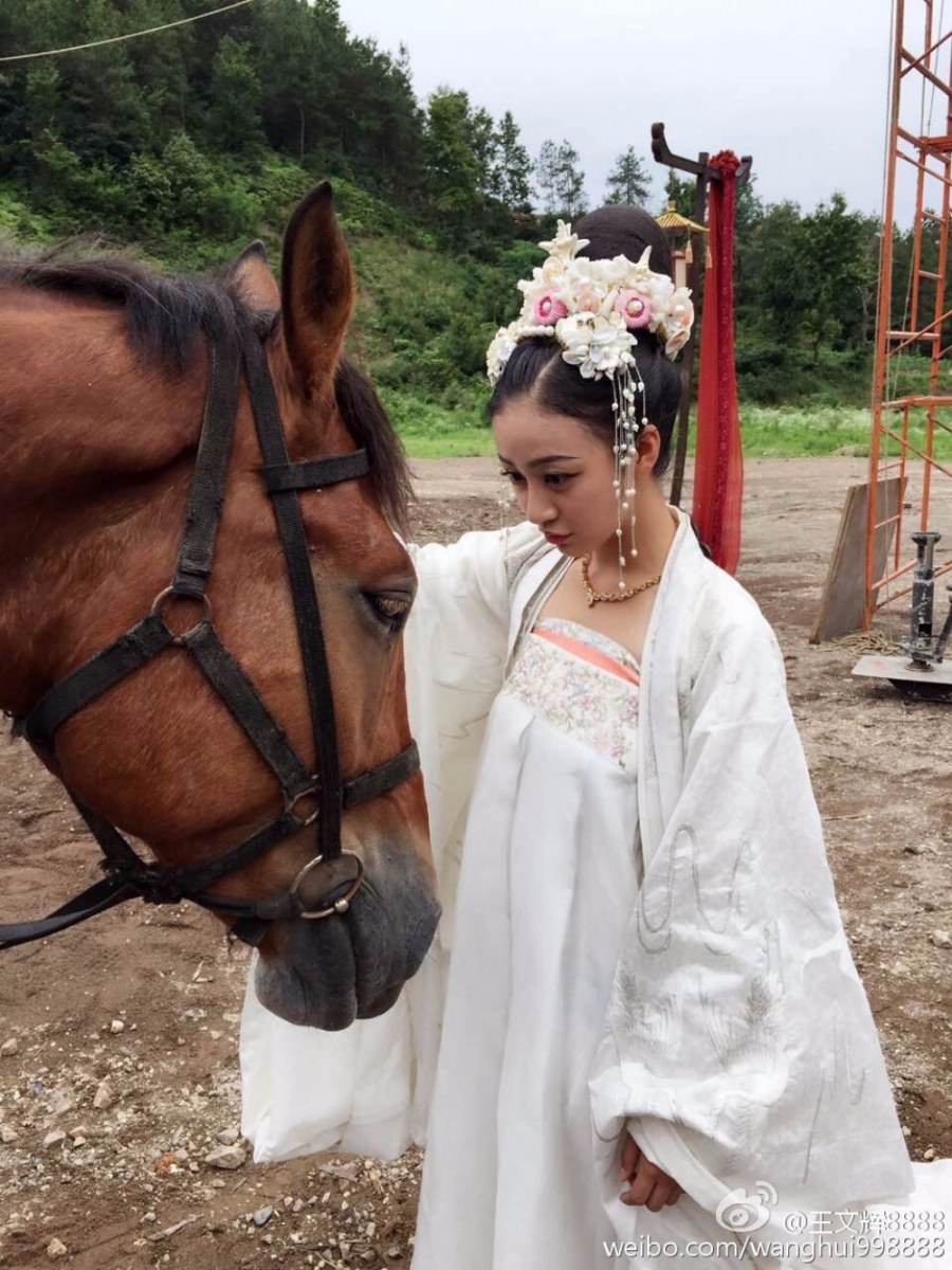 Na Zha and Yang Jian 《哪吒与杨戬》 2015 part3