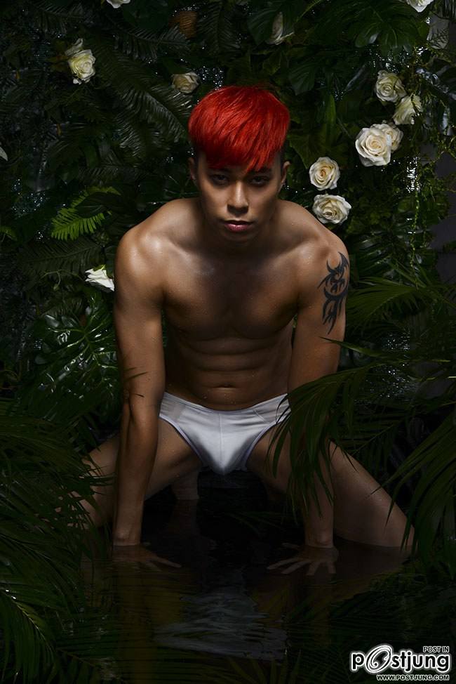 หนุ่มเวียดนาม Max Lee (Đỗ&nbsp;Mạnh&nbsp;Hiếu)