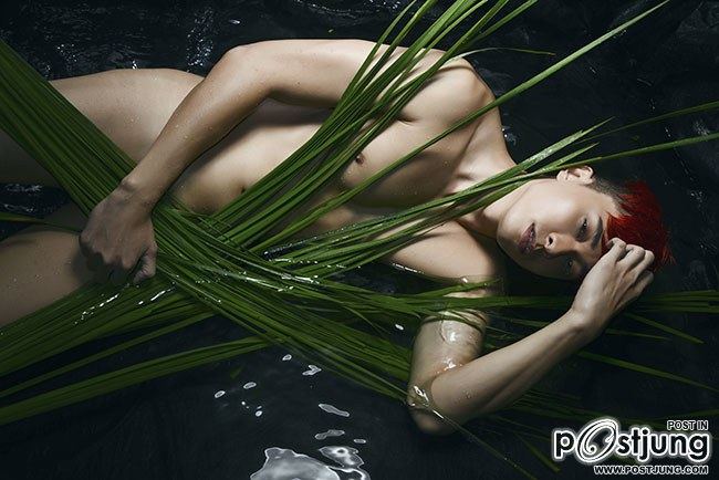 หนุ่มเวียดนาม Max Lee (Đỗ&nbsp;Mạnh&nbsp;Hiếu)